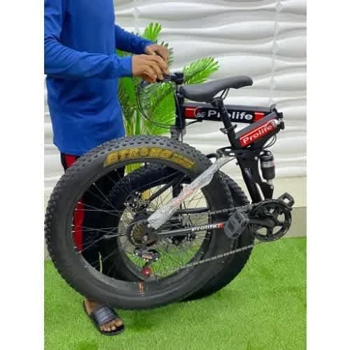 Adjustable Adult Bicycle Big Tire