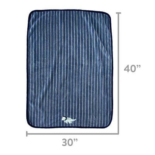 Dinosaur Plush Baby Blanket - Blue Appliqued